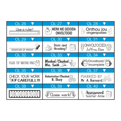 Large One-Liner Teacher Stamp – 45mm x 10mm Wooden Block with Pictures