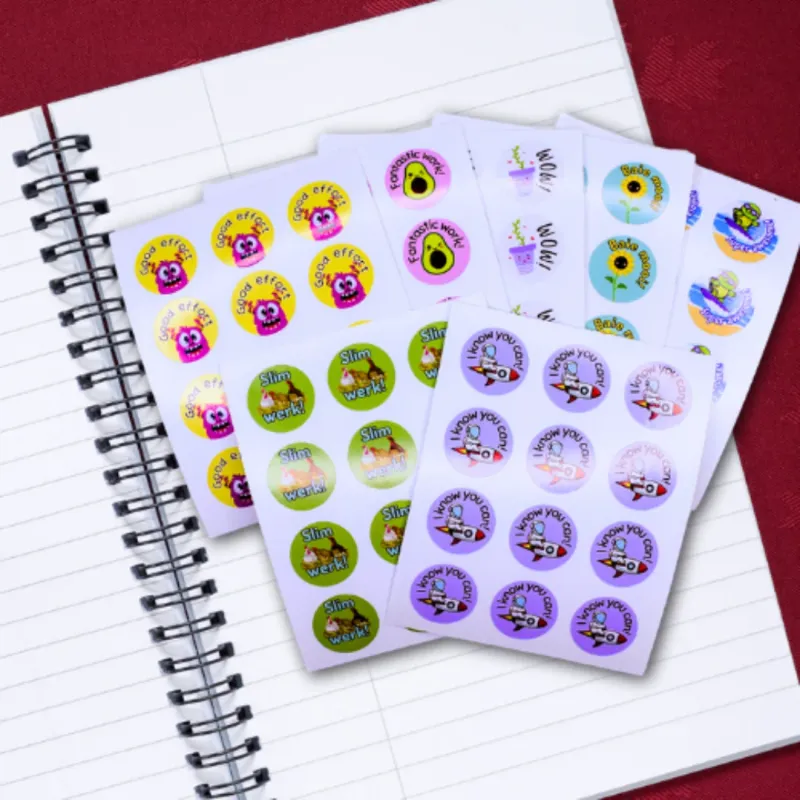 Vinyl Teacher Reward Stickers