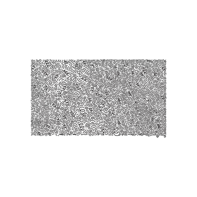 POPIA Redaction Stamp – S-827 (50×30mm Security Pattern)