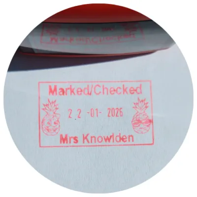 Rubber Stamp Endorsing Ink – Neon Pink – SRN-4 (28ml)