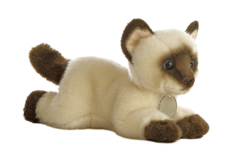Anoushka the Cat - Cuddly Toy