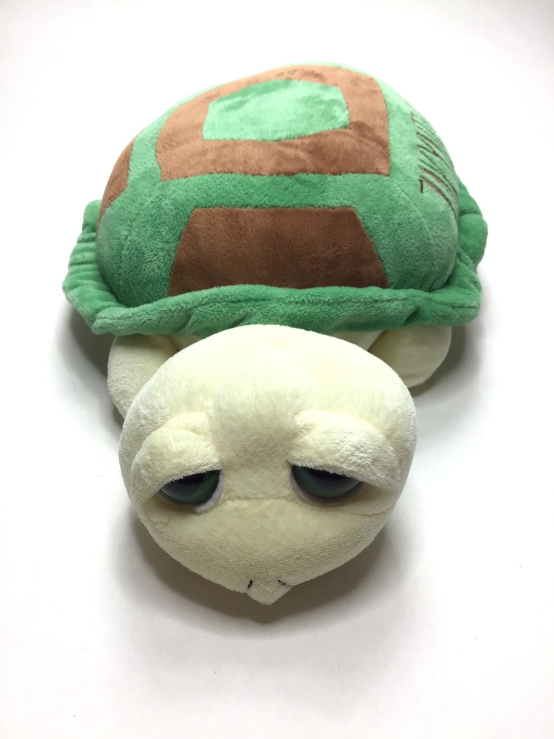 Schildkröte, Landschildkröte