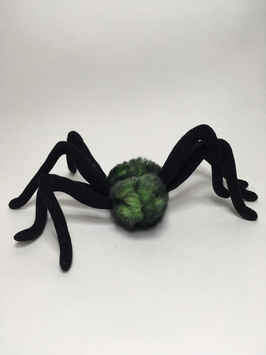 Spinne, Tarantel 25cm Mega selten ( beliebt )