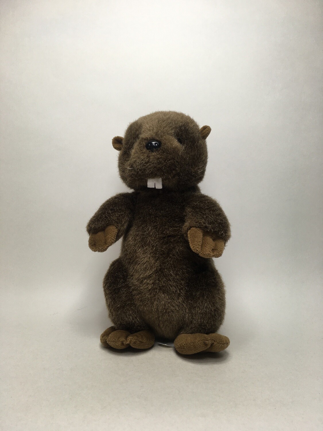 Biber Flemming Dental stehend 32cm selten