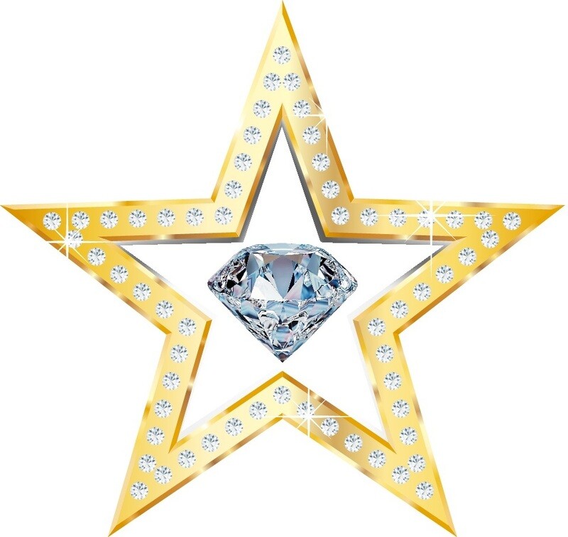 12 Monate - Diamant V.I.P Mitgliedschaft - 20% auf alle Artikel &amp; Versandkostenfrei