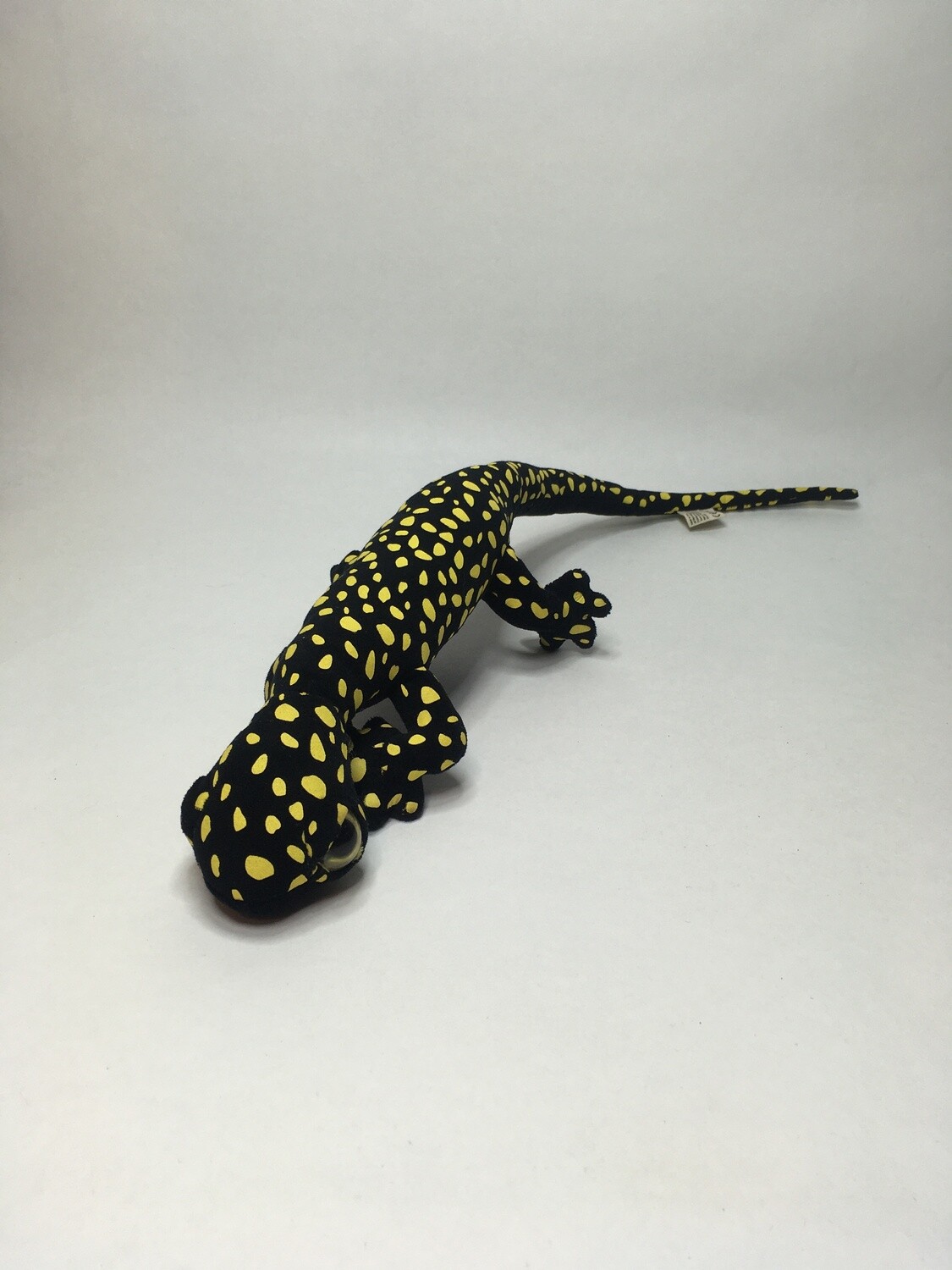 Salamander Chamäleon Eidechse Echse Nature Planet liegend 64cm sehr ( beliebt )