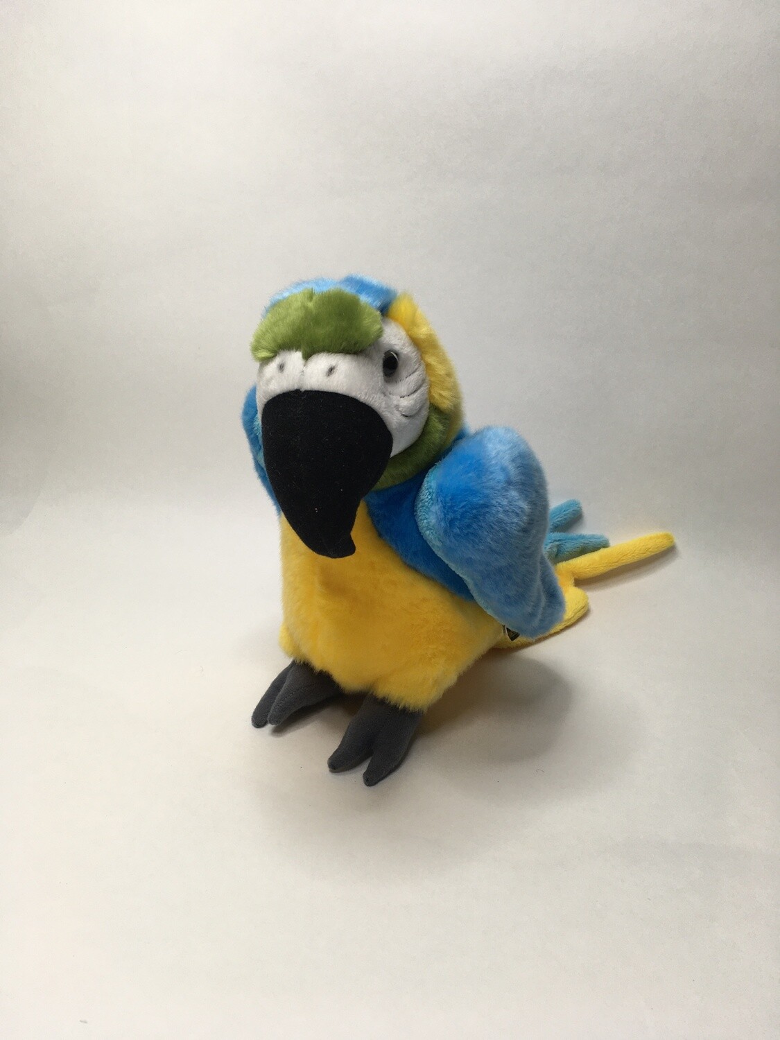 Papagei Ravensden stehend 25cm selten