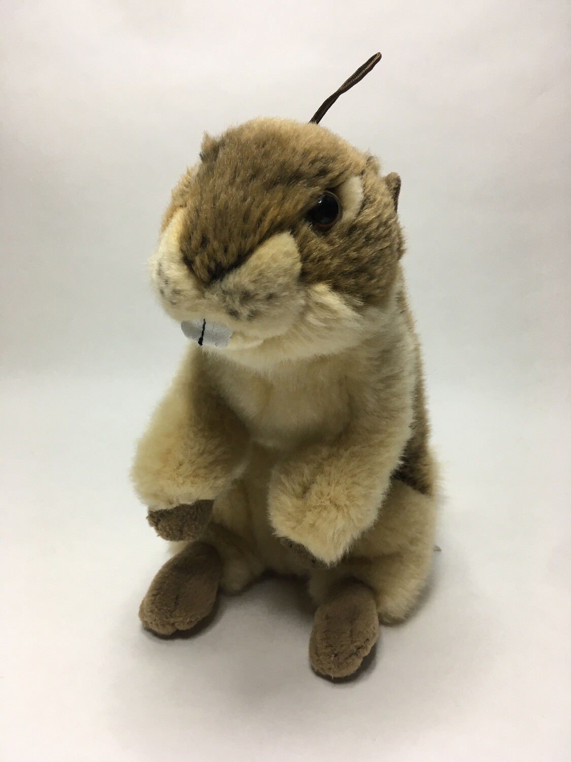 Murmeltier mit Geräusch Leosco stehend 28cm ( beliebt )