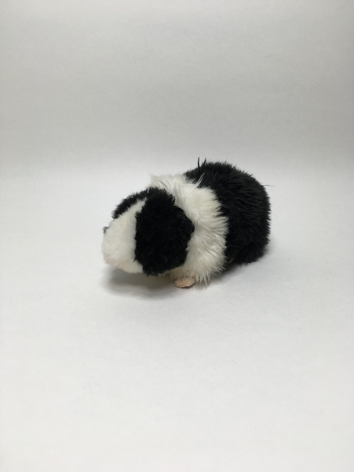 Meerschweinchen Teddy Hermann liegend 20cm selten