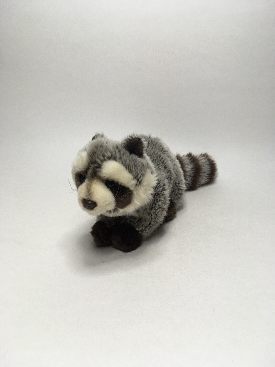 Waschbär Gewe liegend 38cm selten