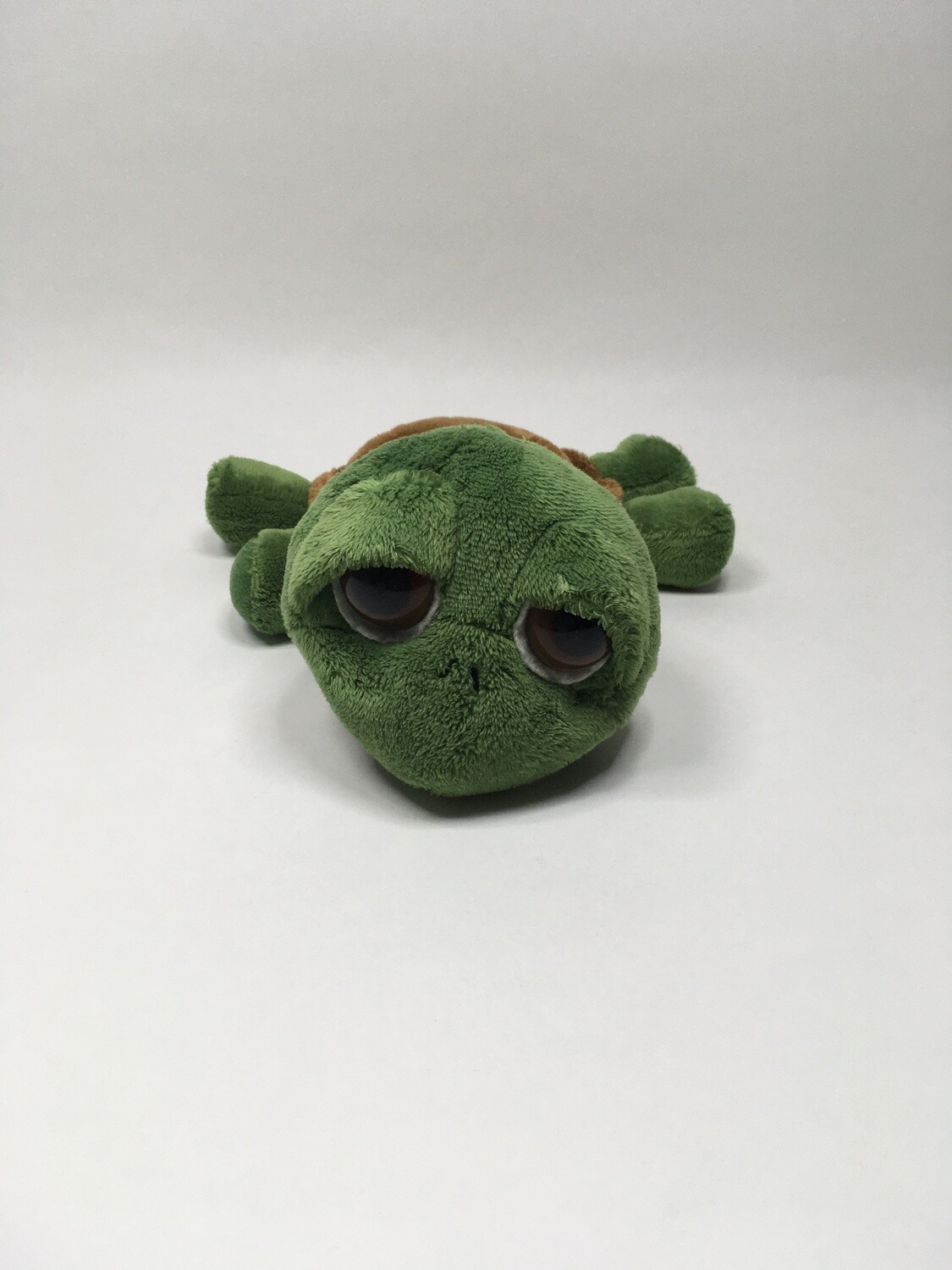 Schildkröte “Shecky“ Russ liegend 27cm ( beliebt )