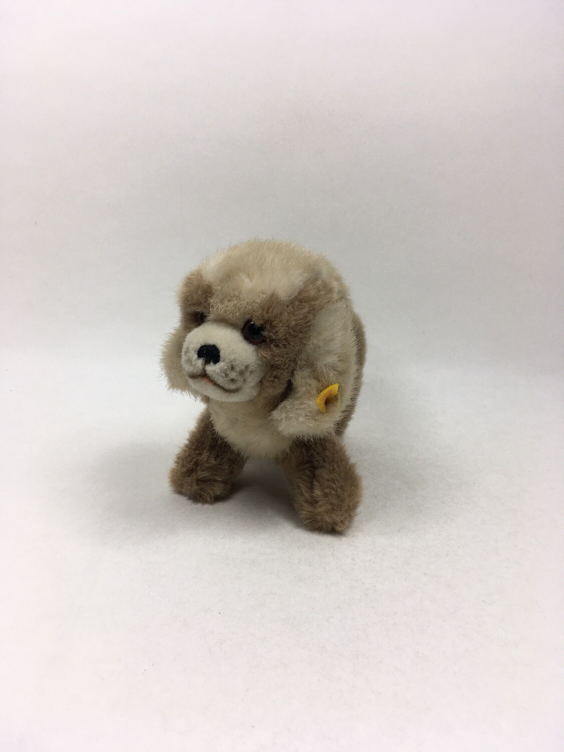 Steiff Hund Drolly 081316 stehend 20cm selten