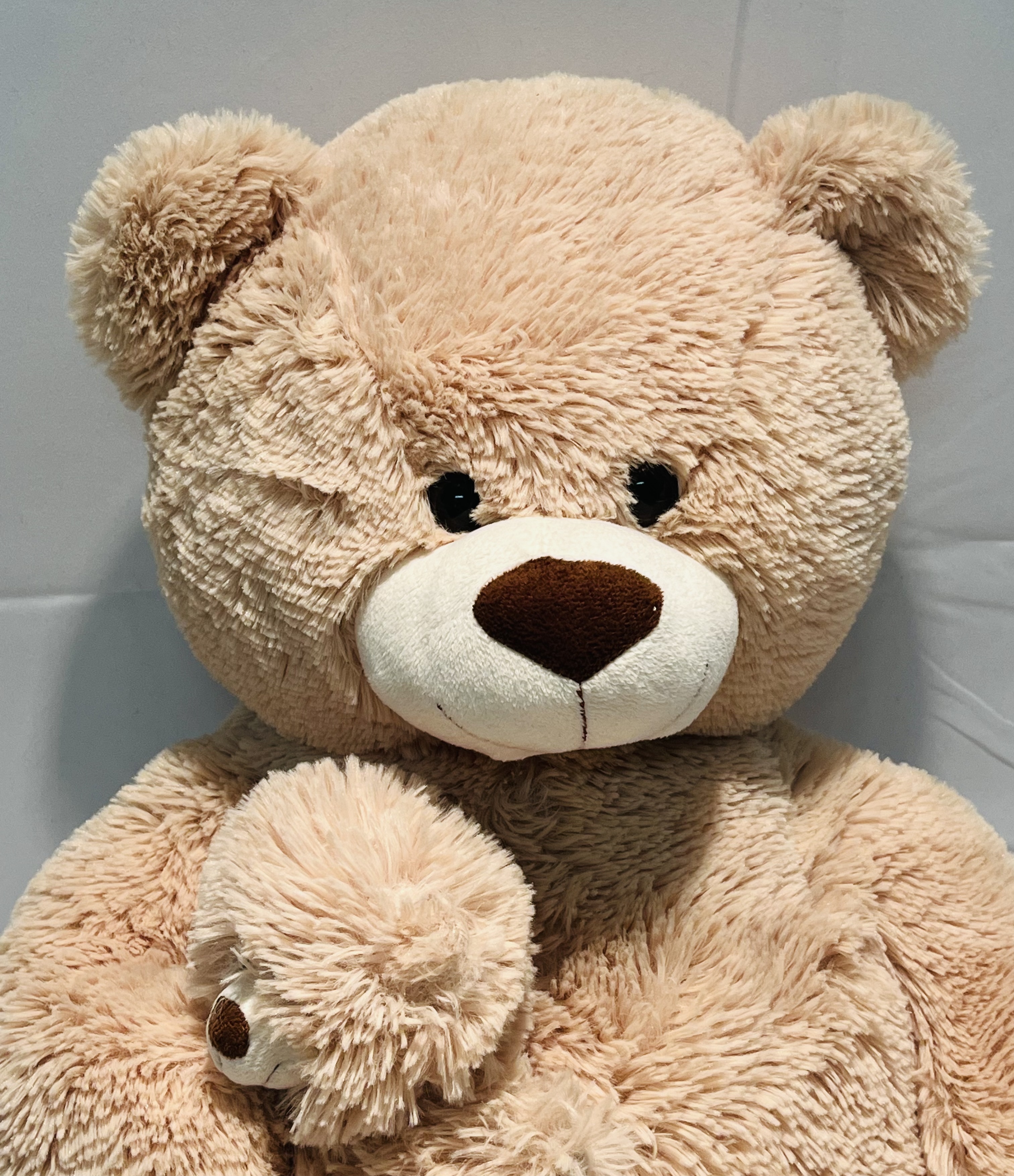 XXL Teddy mit Baby DAYCONOMY GmbH stehend 75 cm 0,7 kg sehr selten