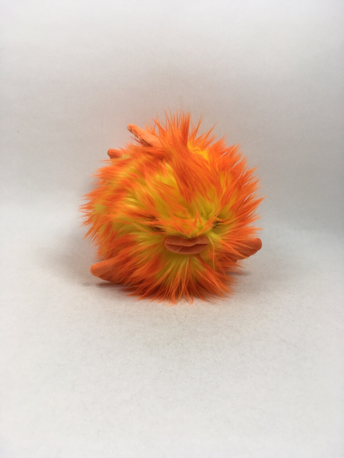 Fisch Sunkid liegend 26cm ( beliebt )