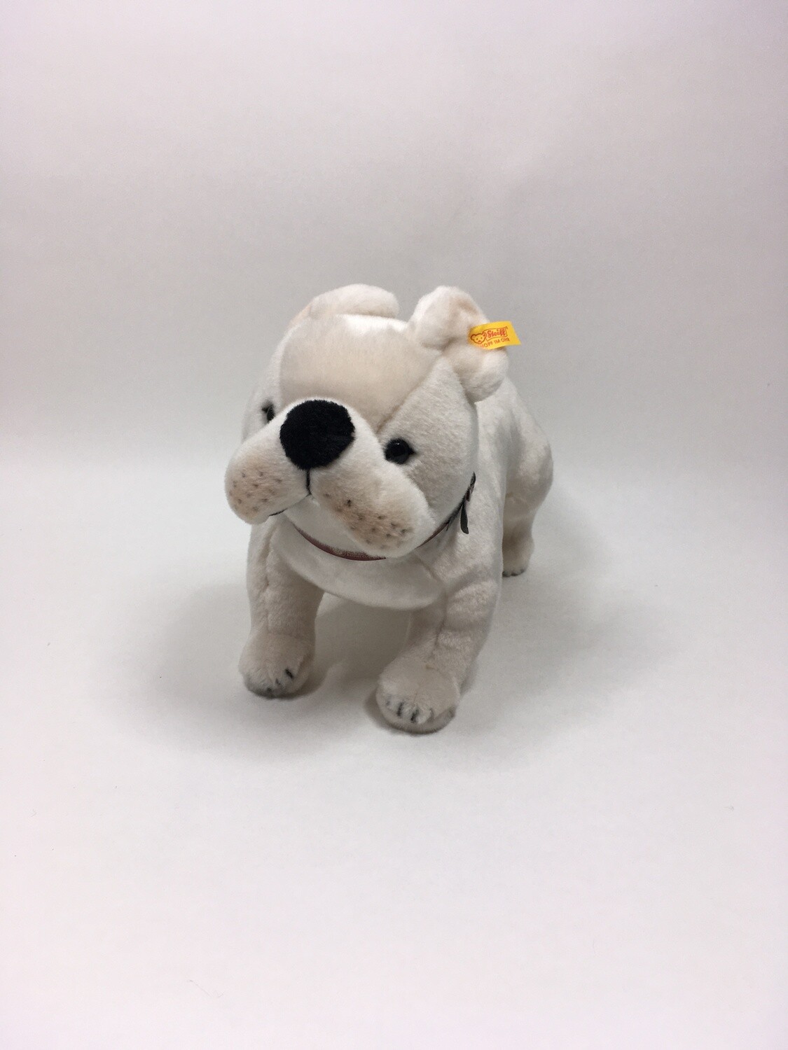 Steiff Französische Bulldogge stehend 35cm 670039 Mega Mega Rarität Neuwertig mit Etikett