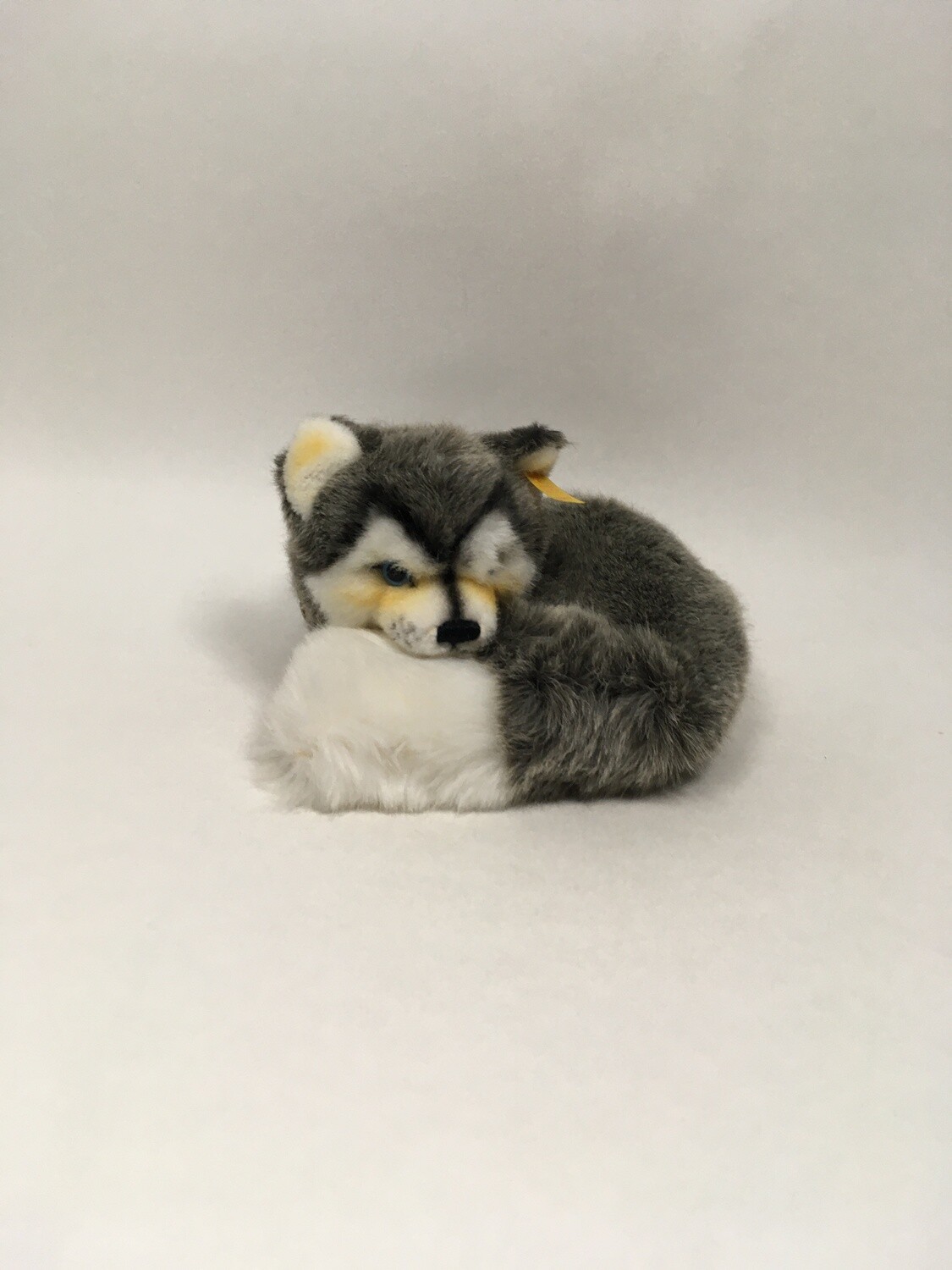 Steiff Hund 079672 Husky liegend 22cm Mega Sammlerstück