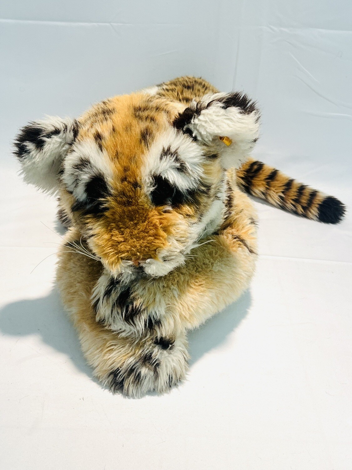 XXL Steiff Tiger Pascha 0870/60 liegend 82cm 0,7kg Mega Sammlerstück