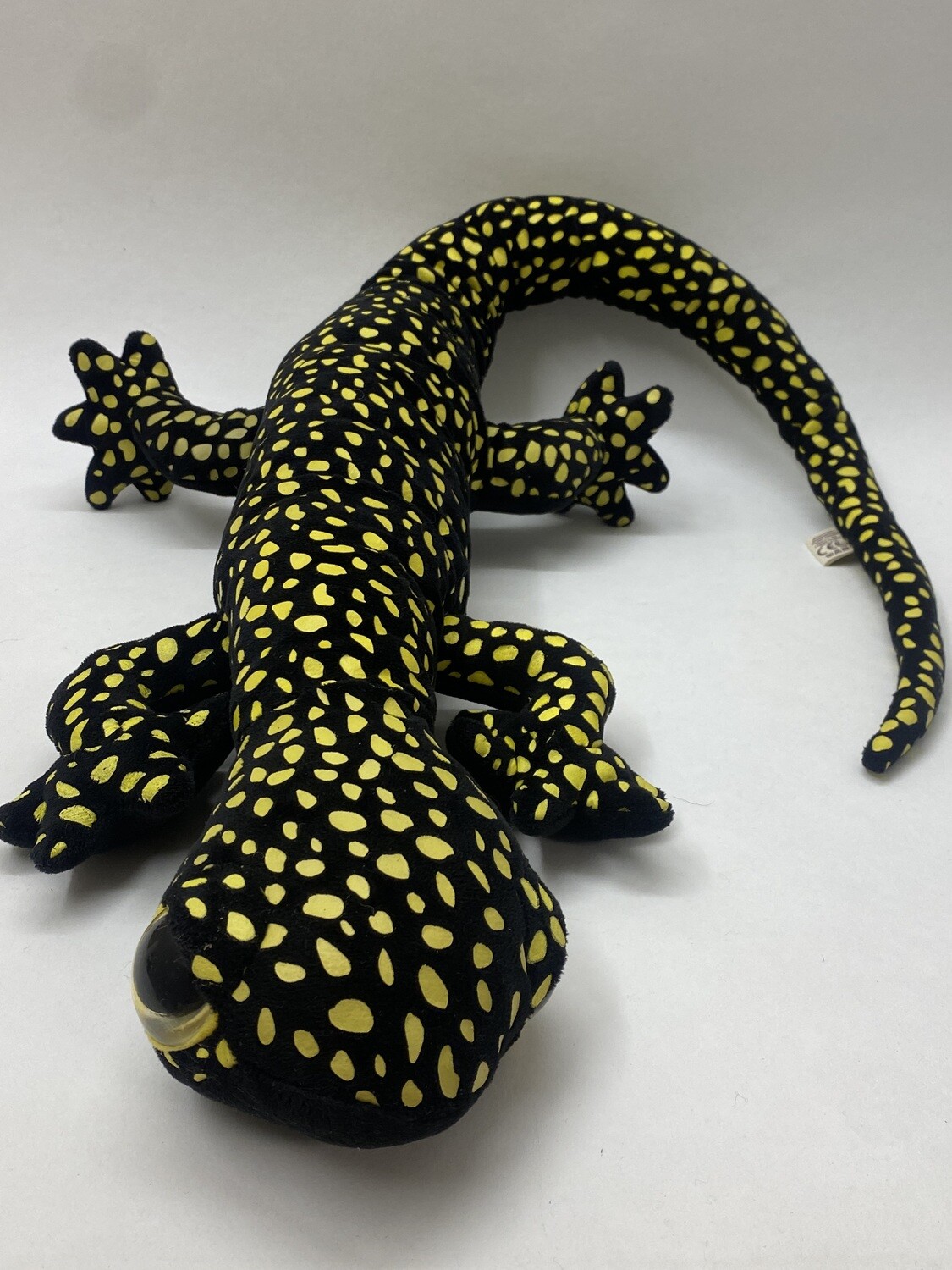 Salamander Chamäleon Eidechse Echse Nature Planet liegend 110cm sehr selten