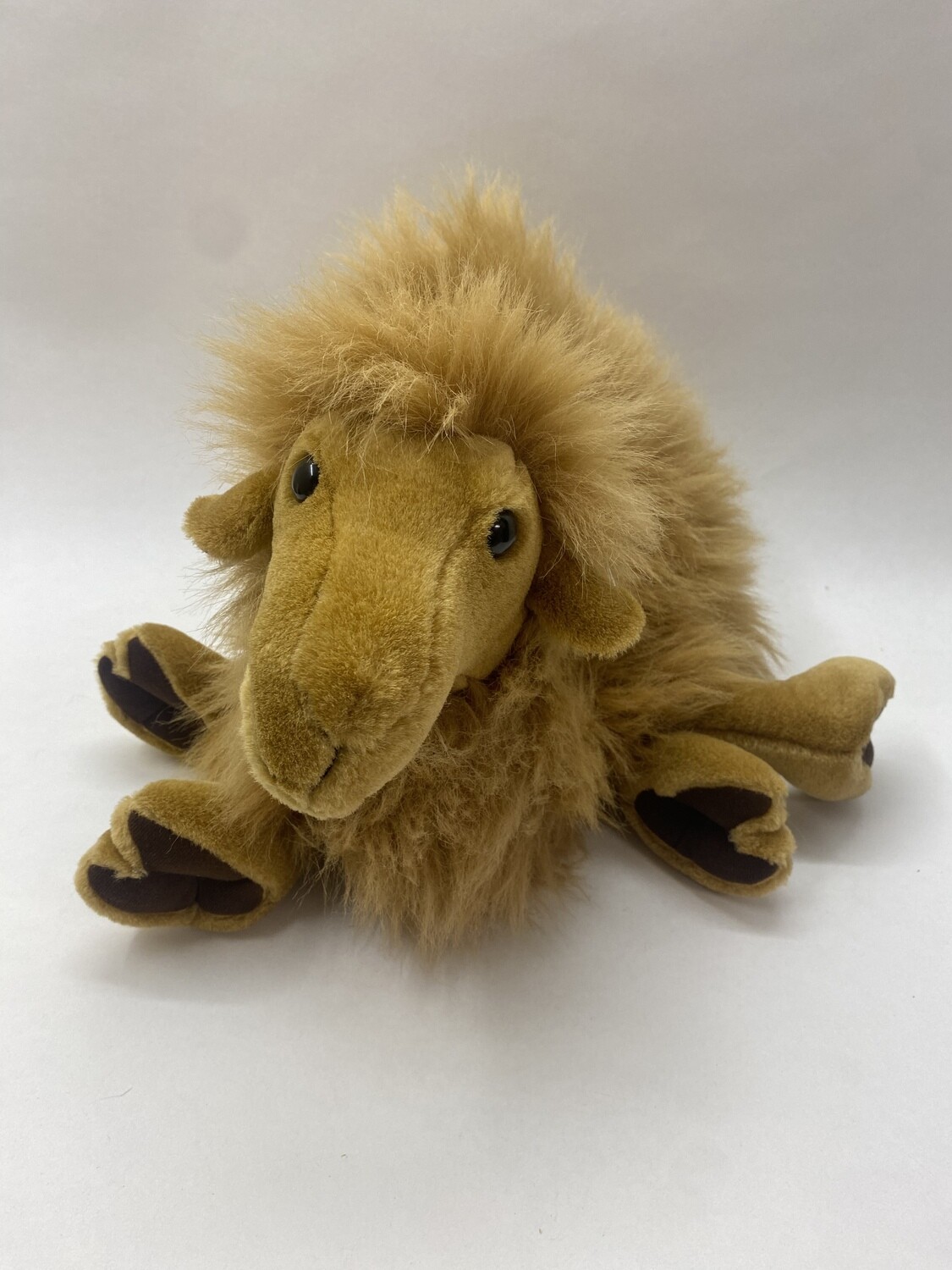 Kamel Trampy Rudolf Schaffer Collection liegend 55cm Sammlerstück