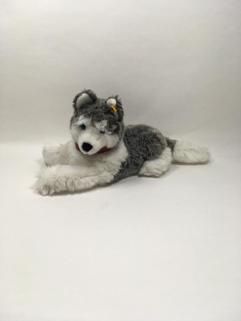 Steiff Hund Husky Molly 104916 mit Knopf und Fahne liegend 50cm Sammlerstück