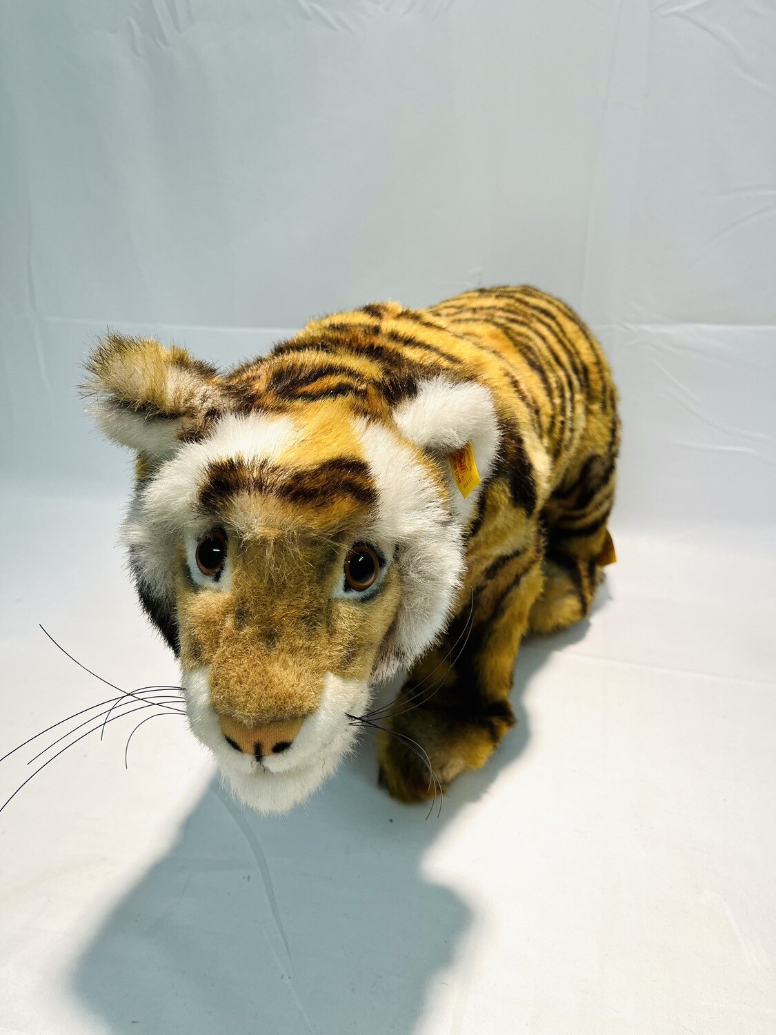 XXL Steiff Tiger Radjah 066412 mit Knopf, Fahne und Brustschild stehend 72cm 1,7kg Mega Sammlerstück mit Etikett