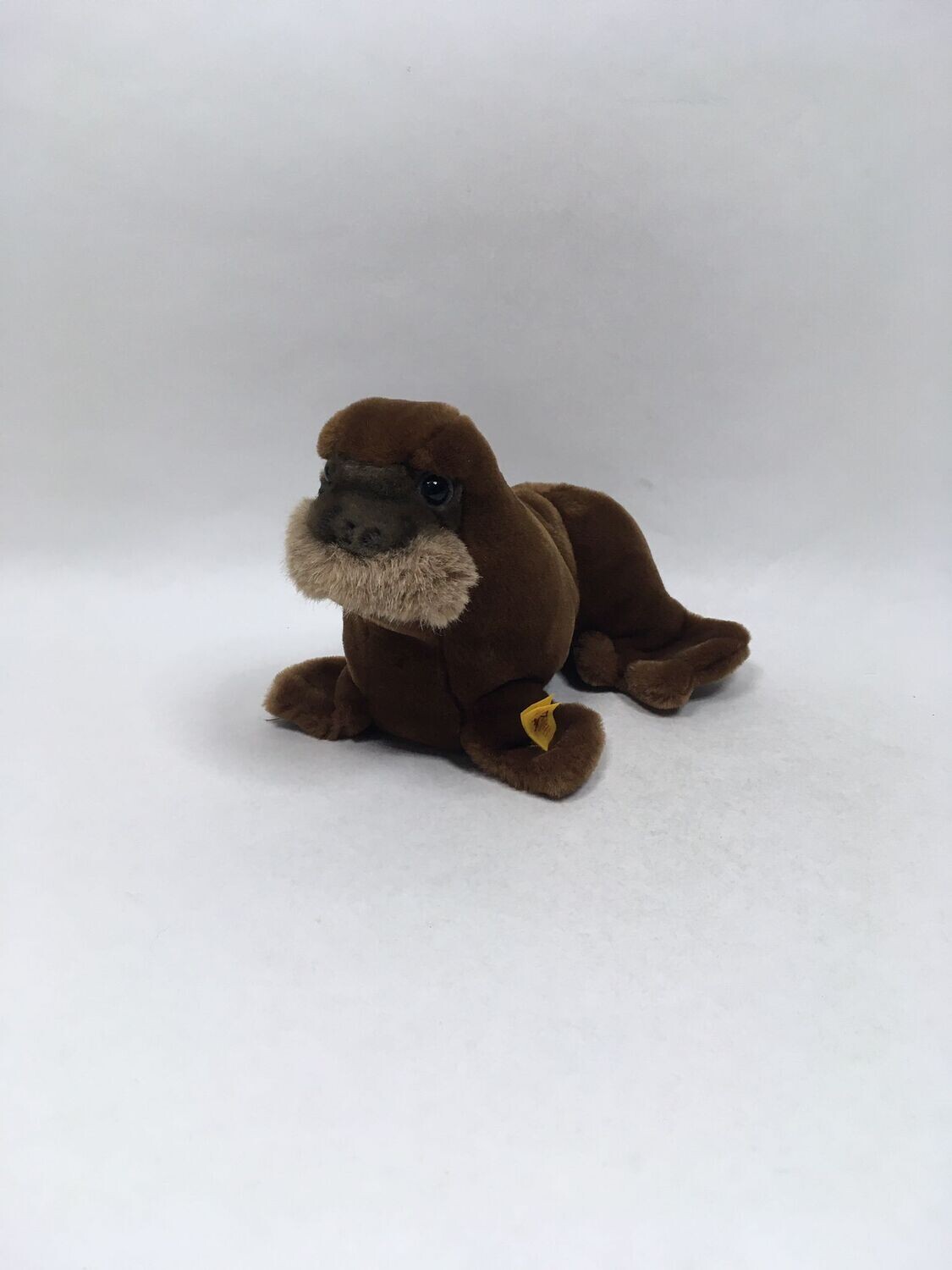 Steiff Walross Wally 1170/16 mit Knopf und Fahne liegend 22cm Mega Sammlerstück