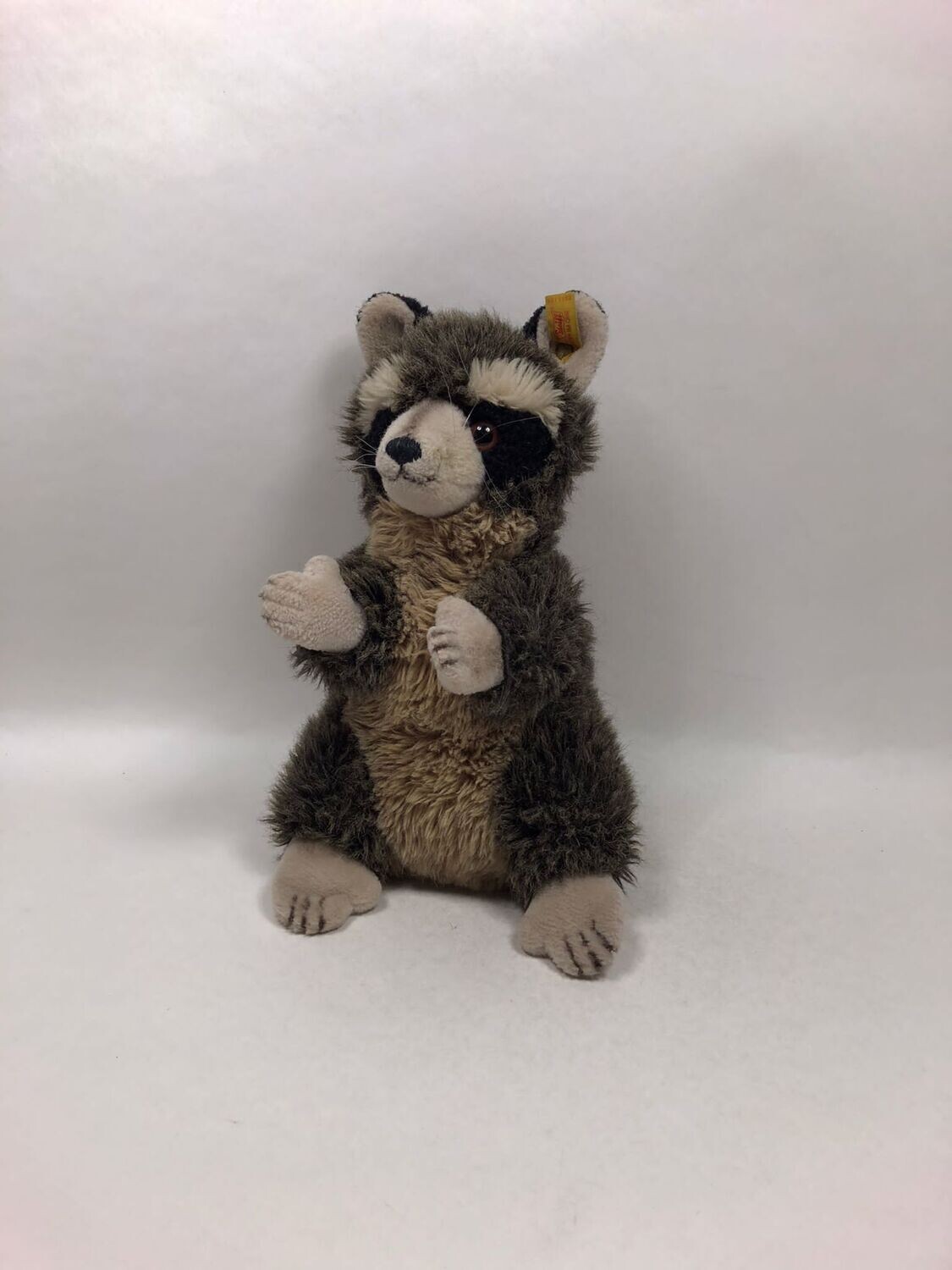 Steiff Waschbär Raggy 2055/35 mit Knopf und Fahne stehend 33cm selten