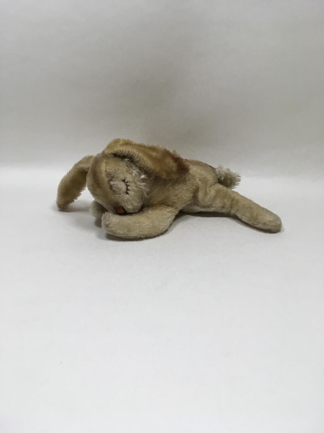 Steiff Hase Floppy Hansi 5527/28 mit Brustschild, Knopf & Fahne