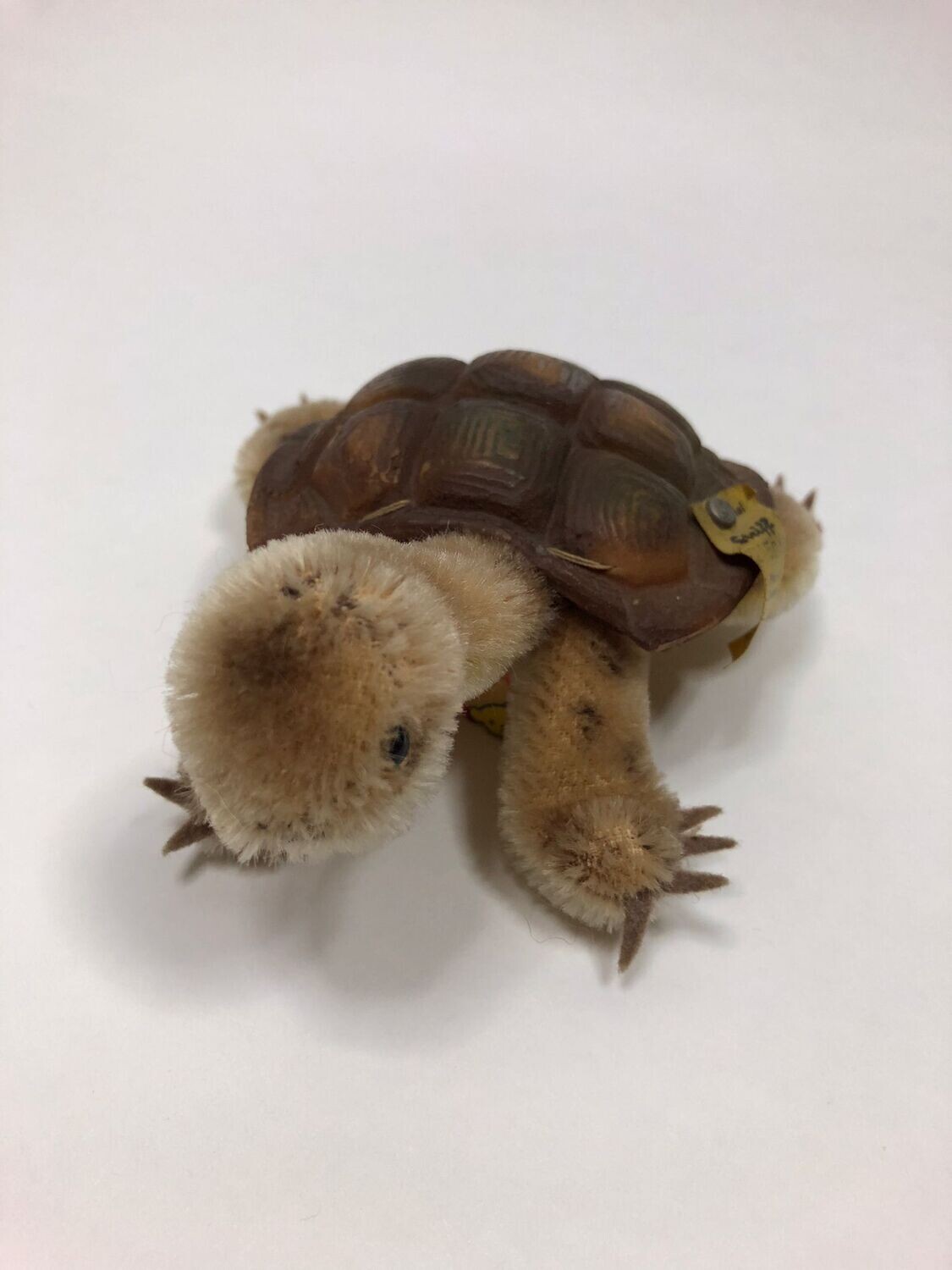 Steiff Schildkröte 2310.00 mit Knopf liegend 12cm Vintage