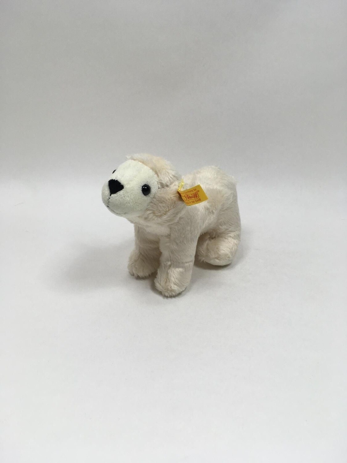 Steiff Eisbär Knut 113147 mit Knopf und Fahne stehend 20cm Mega selten