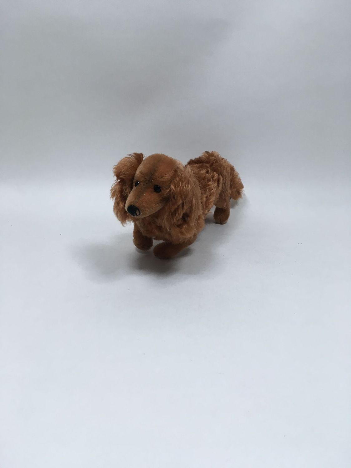 Steiff Hund Dackel Waldi 4140/17 mit Knopf und Fahne stehend 35cm Mega Sammlerstück Vintage