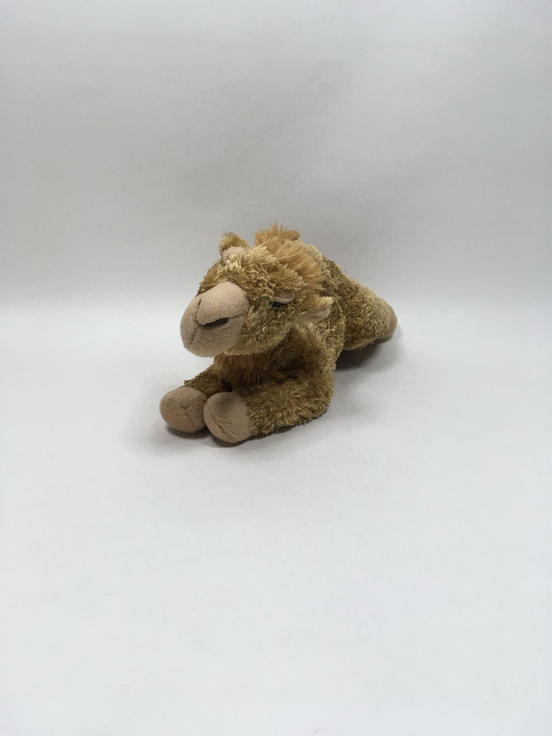 Kamel Aurora liegend 28cm selten