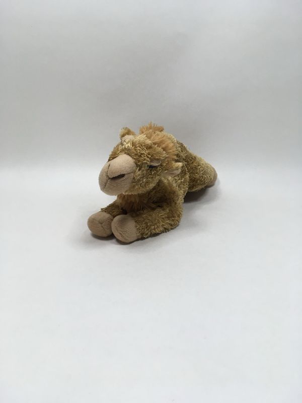 Kamel Aurora liegend 28cm selten