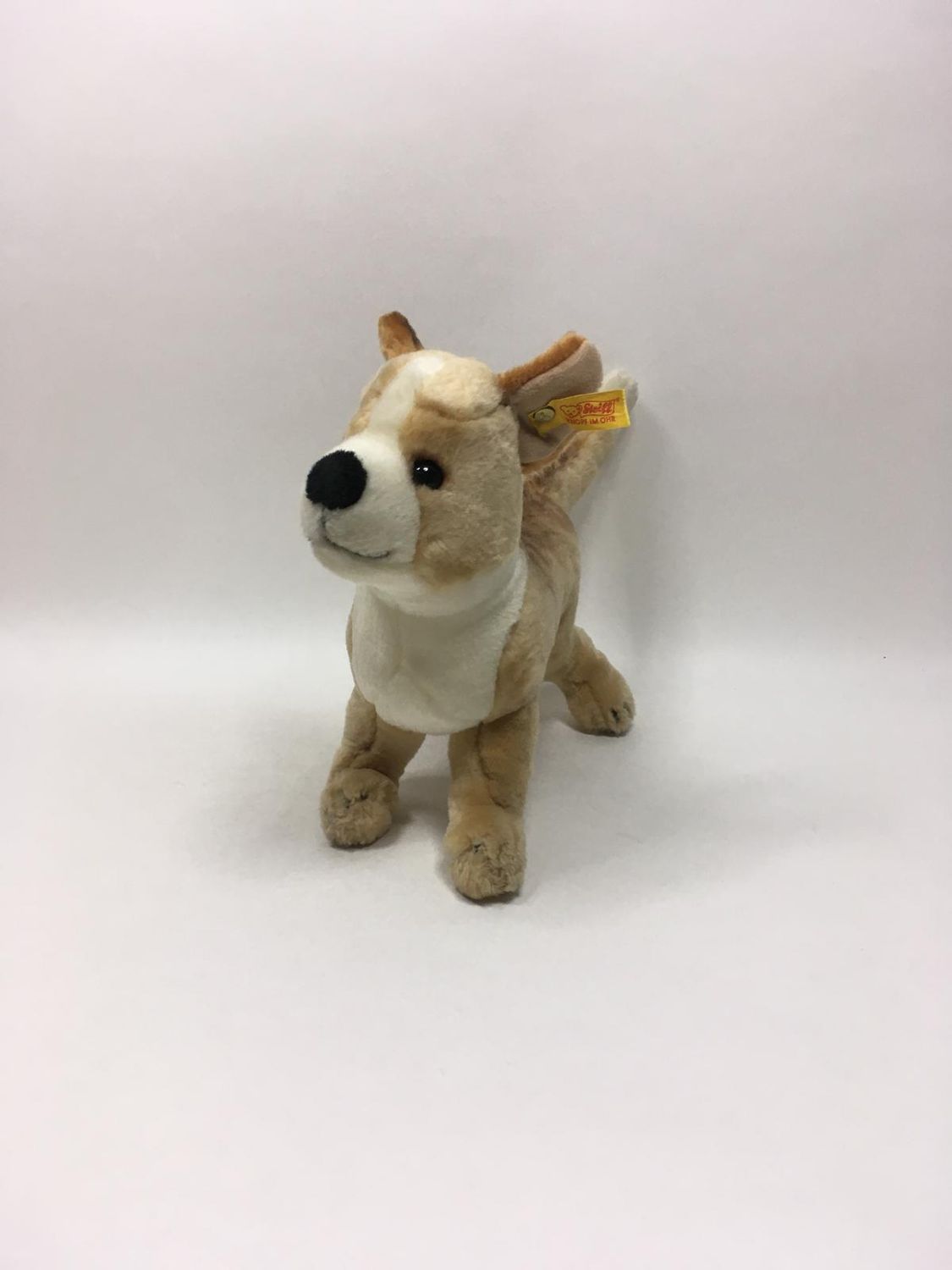 Steiff Hund Chihuahua 079351 mit Knopf und Fahne stehend 33cm Sammlerstück