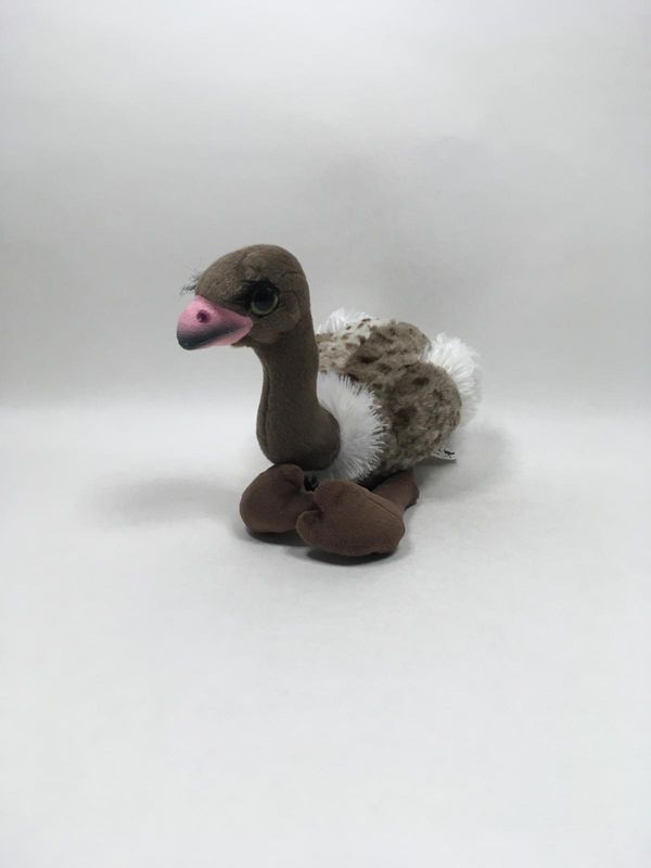 Strauß Whitehouse stehend 42cm Sammlerstück