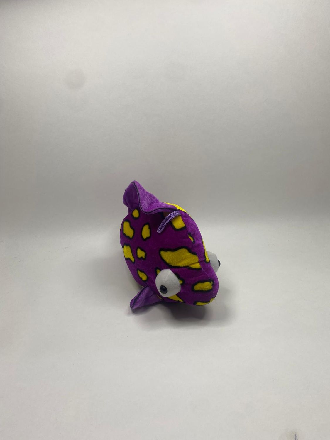 Fisch Paul Import liegend 31 cm selten