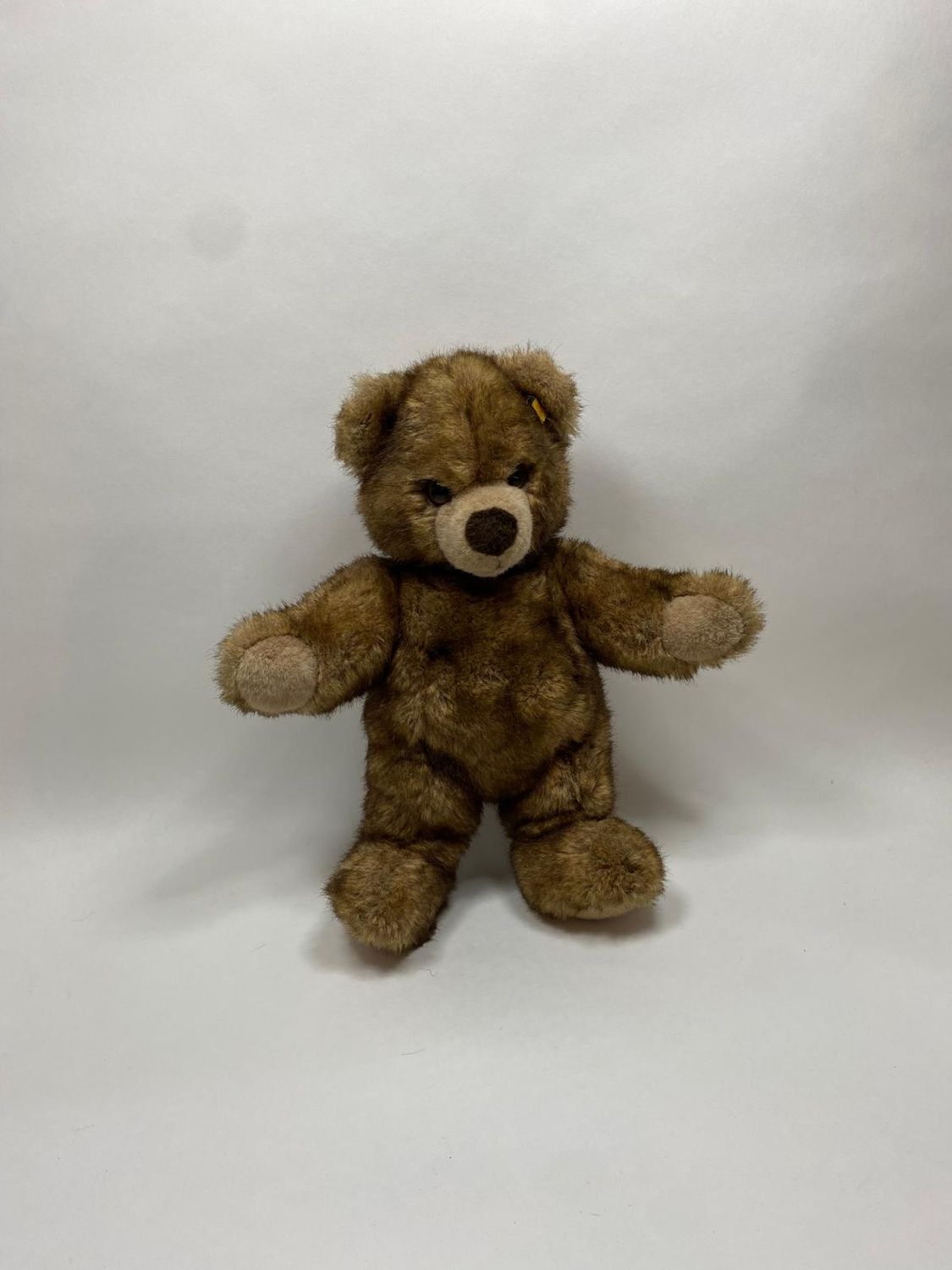 Steiff Teddy Molly 021565 mit Knopf und Fahne stehend 45 cm Sammlerstück