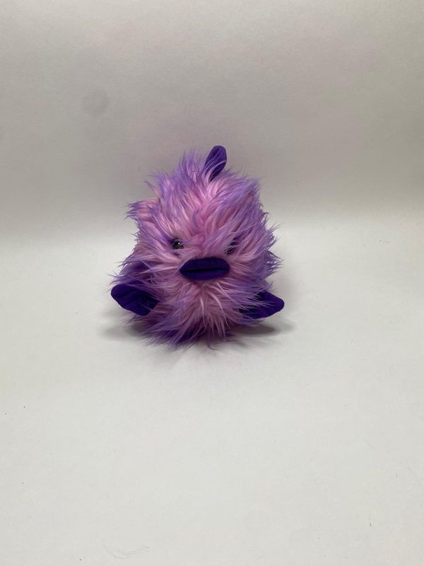 Kugelfisch Sunkid liegend 25 cm ( beliebt )