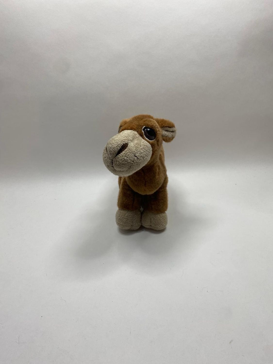 Kamel Oasis Camel Russ stehend 40 cm Sammlerstück