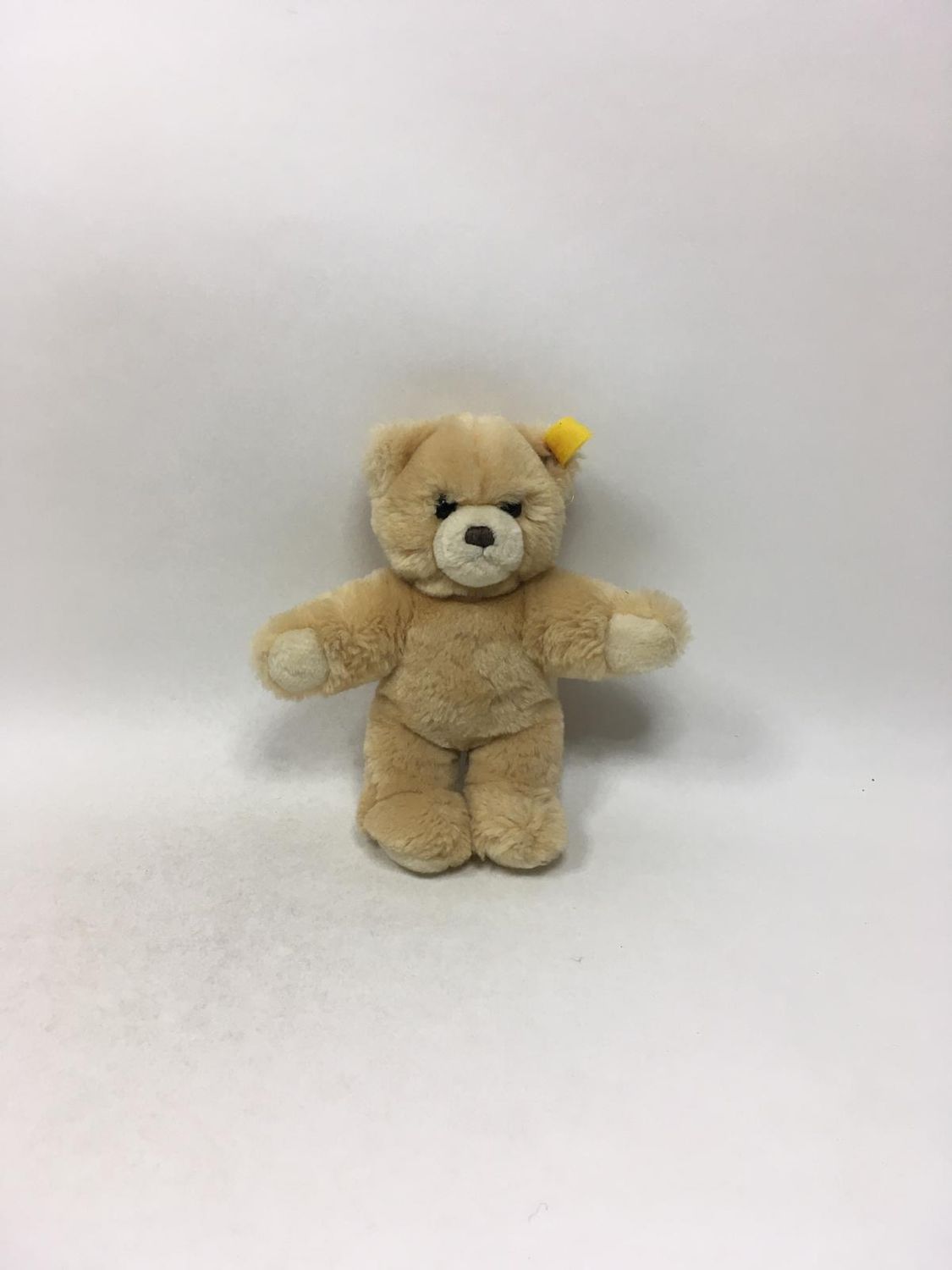 Steiff Teddy Molly mit Knopf und Fahne ( Nummer nicht lesbar ) stehend 22 cm Sammlerstück