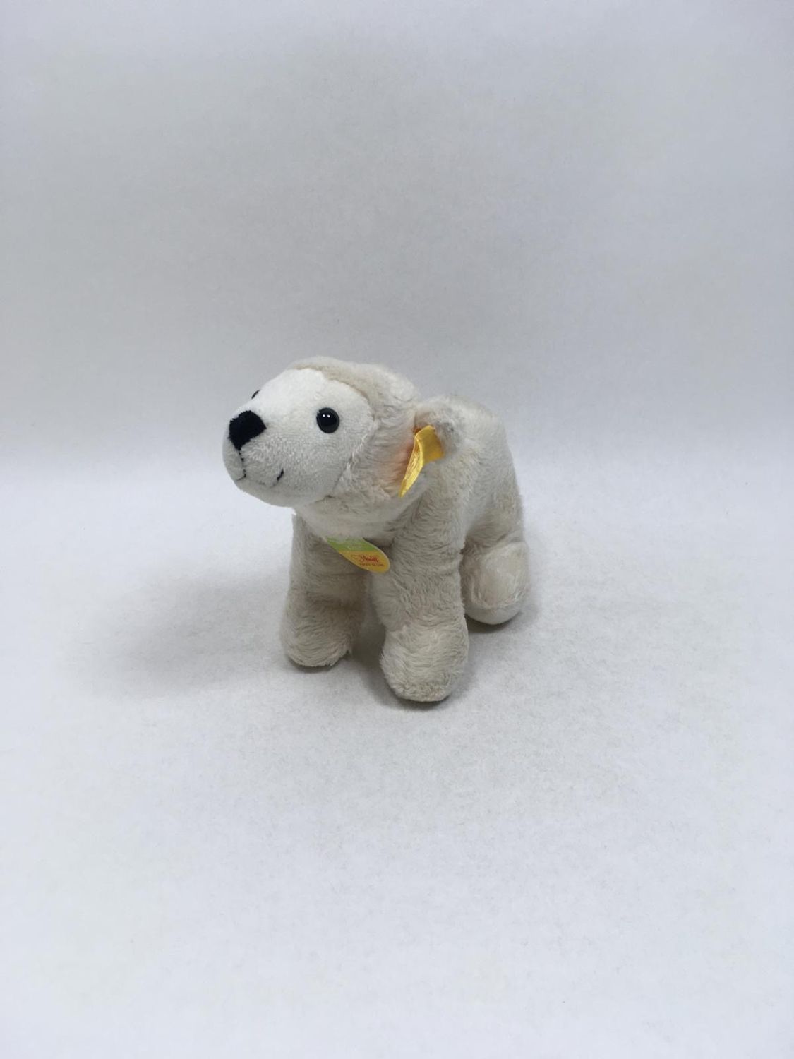 Steiff Eisbär Knut 113079 mit Knopf, Fahne und Brustschild stehend 20 cm Mega Sammlerstück