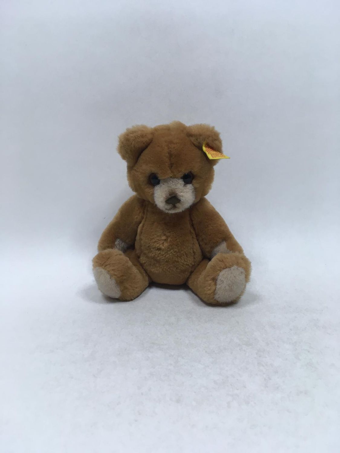 Steiff Teddy Petsy 0230/20 mit Knopf und Fahne stehend 20 cm Sammlerstück