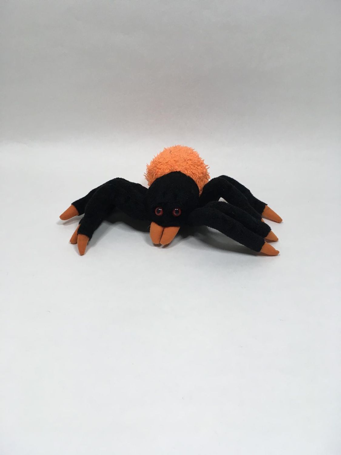 Spinne Brauns-Heitmann liegend 20 cm selten