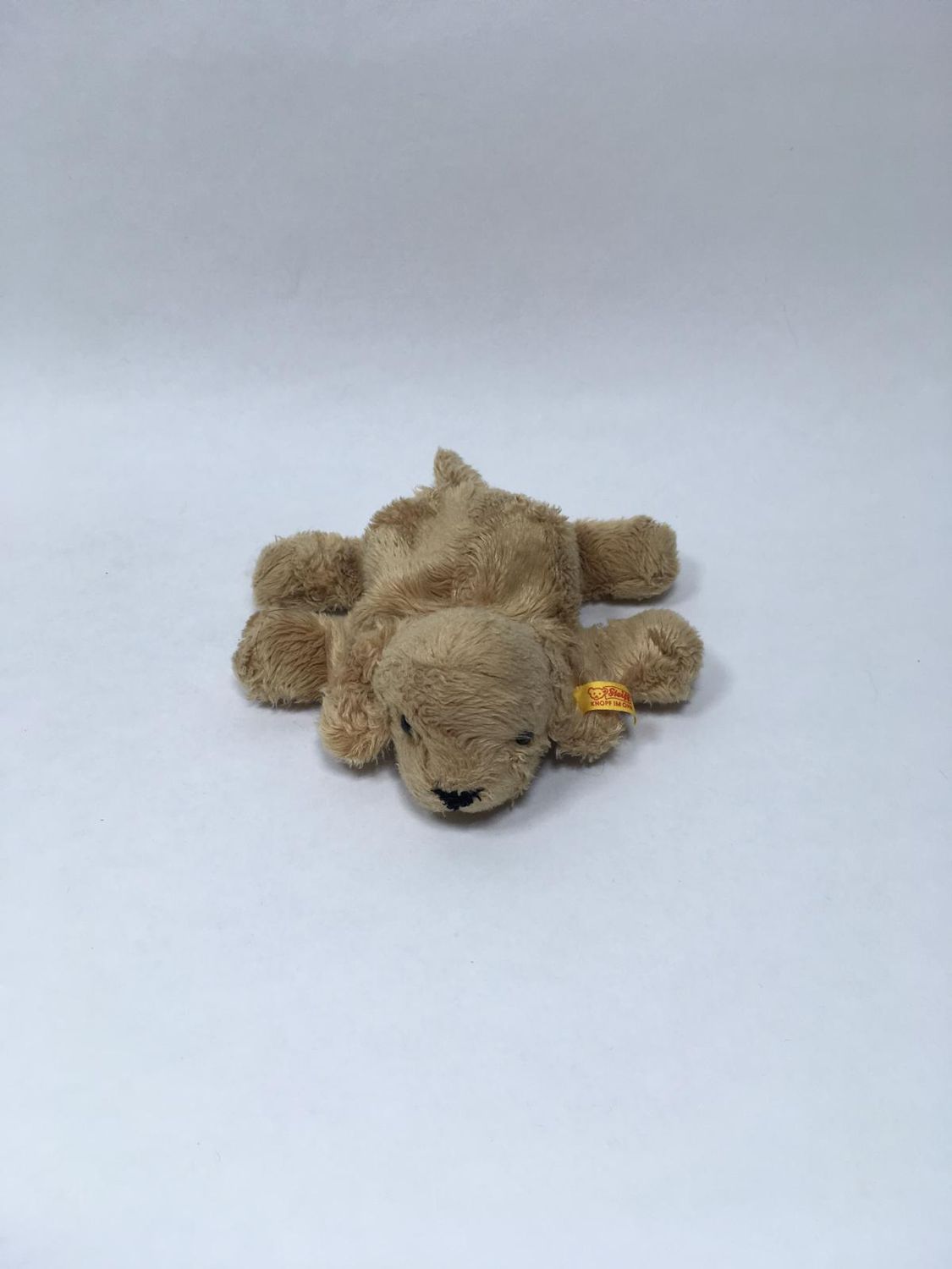 Steiff Hund Lumpi Golden Retriever mit Knopf und Fahne ( Nummer nicht lesbar ) liegend 18 cm Sammlerstück