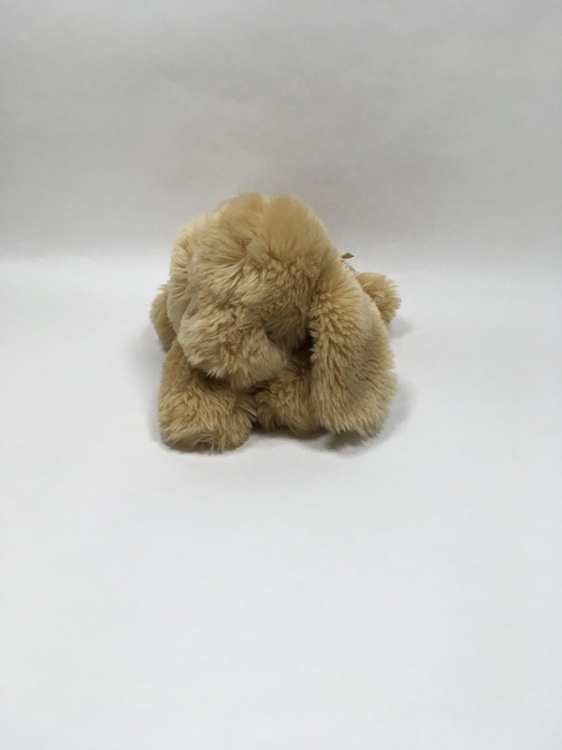 Hund Käthe Kruse stehend 33 cm Rarität