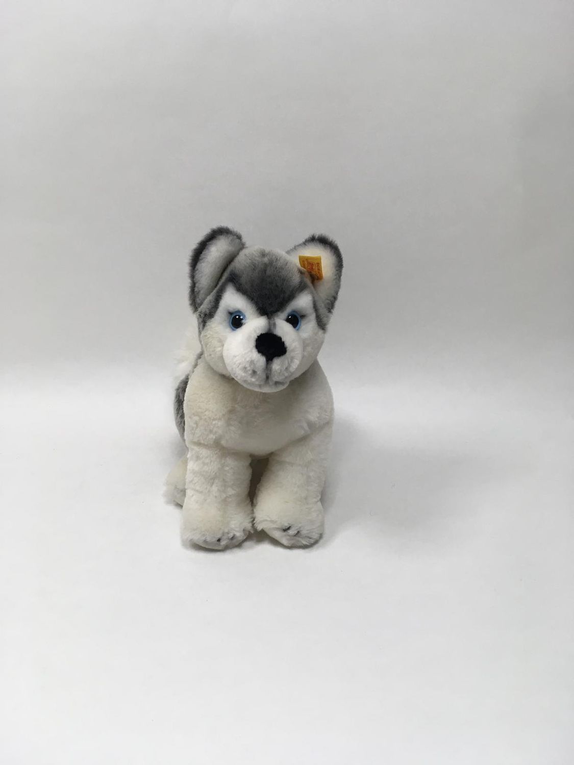 Steiff Hund Husky Bernie 104978 mit Knopf und Fahne sitzend 27 cm Sammlerstück