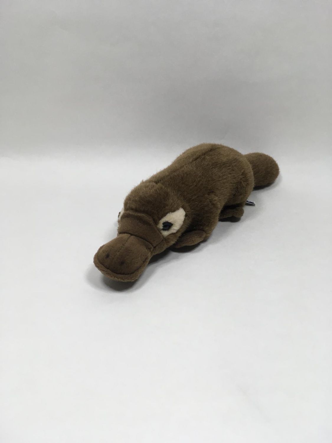 Schnabeltier Semo liegend 40 cm Sammlerstück