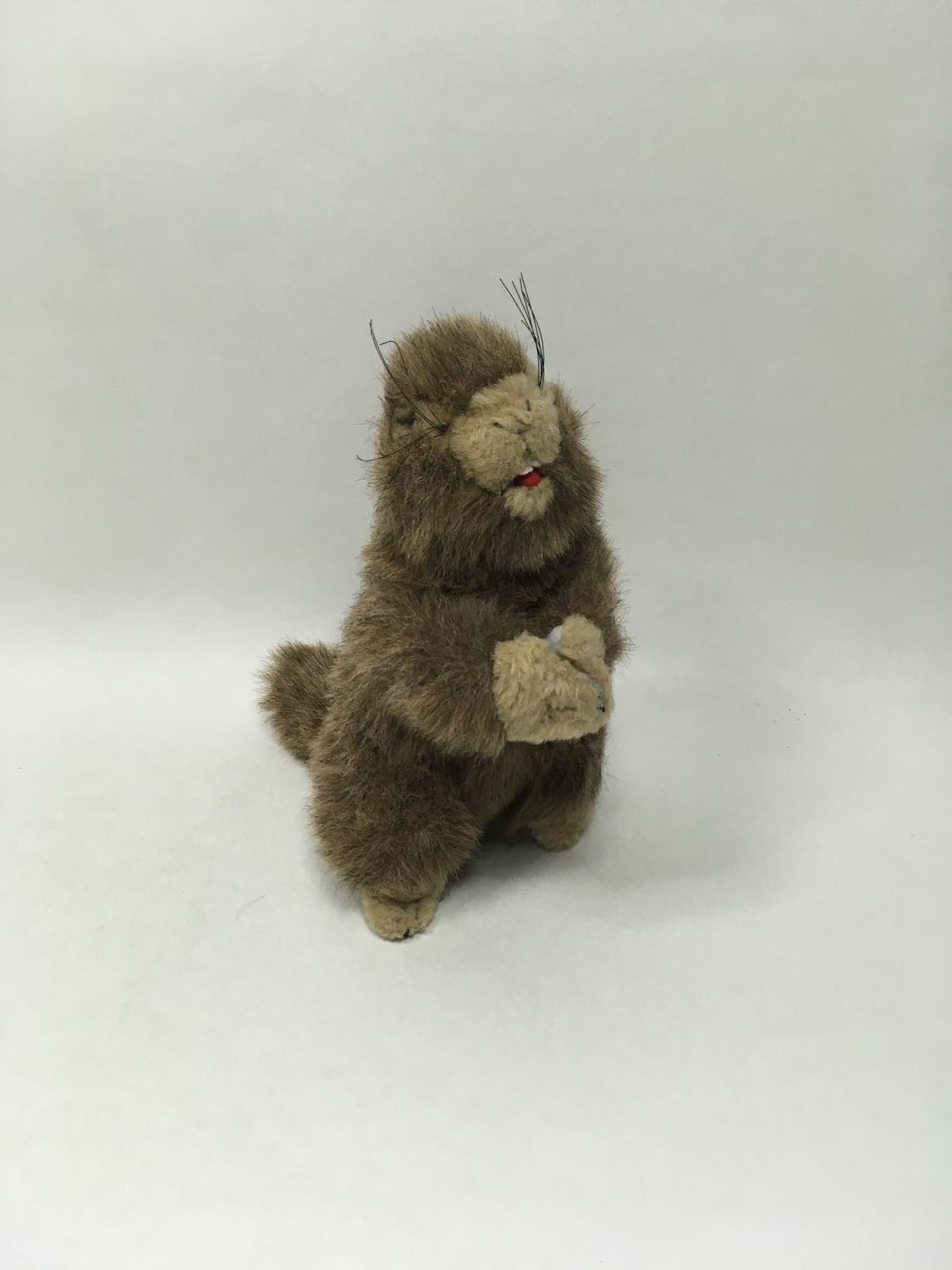 Biber / Murmeltier Take mi stehend 25 cm selten