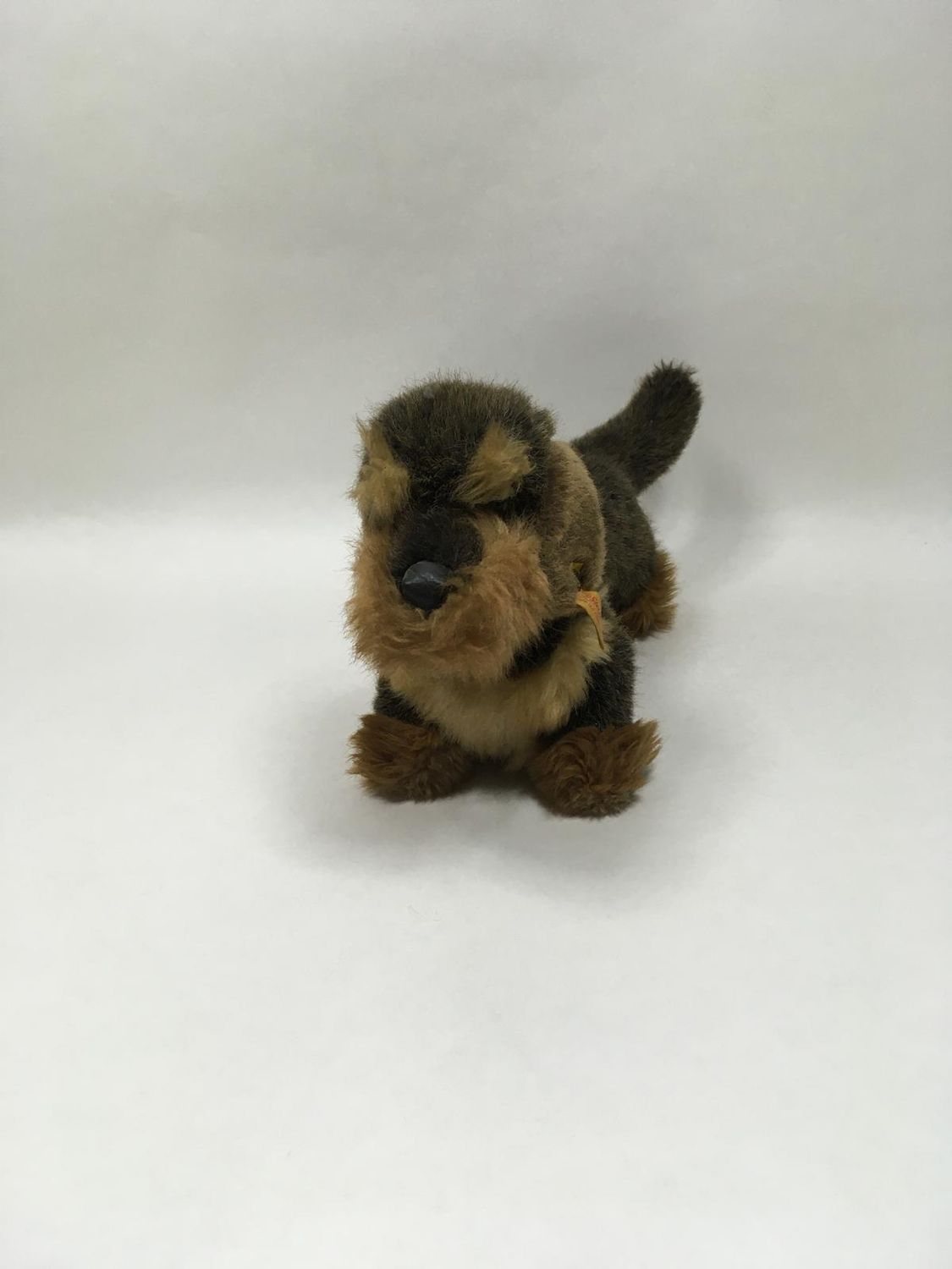 Steiff Hund Raudi 4151/25 mit Knopf und Fahne stehend 38 cm Sammlerstück