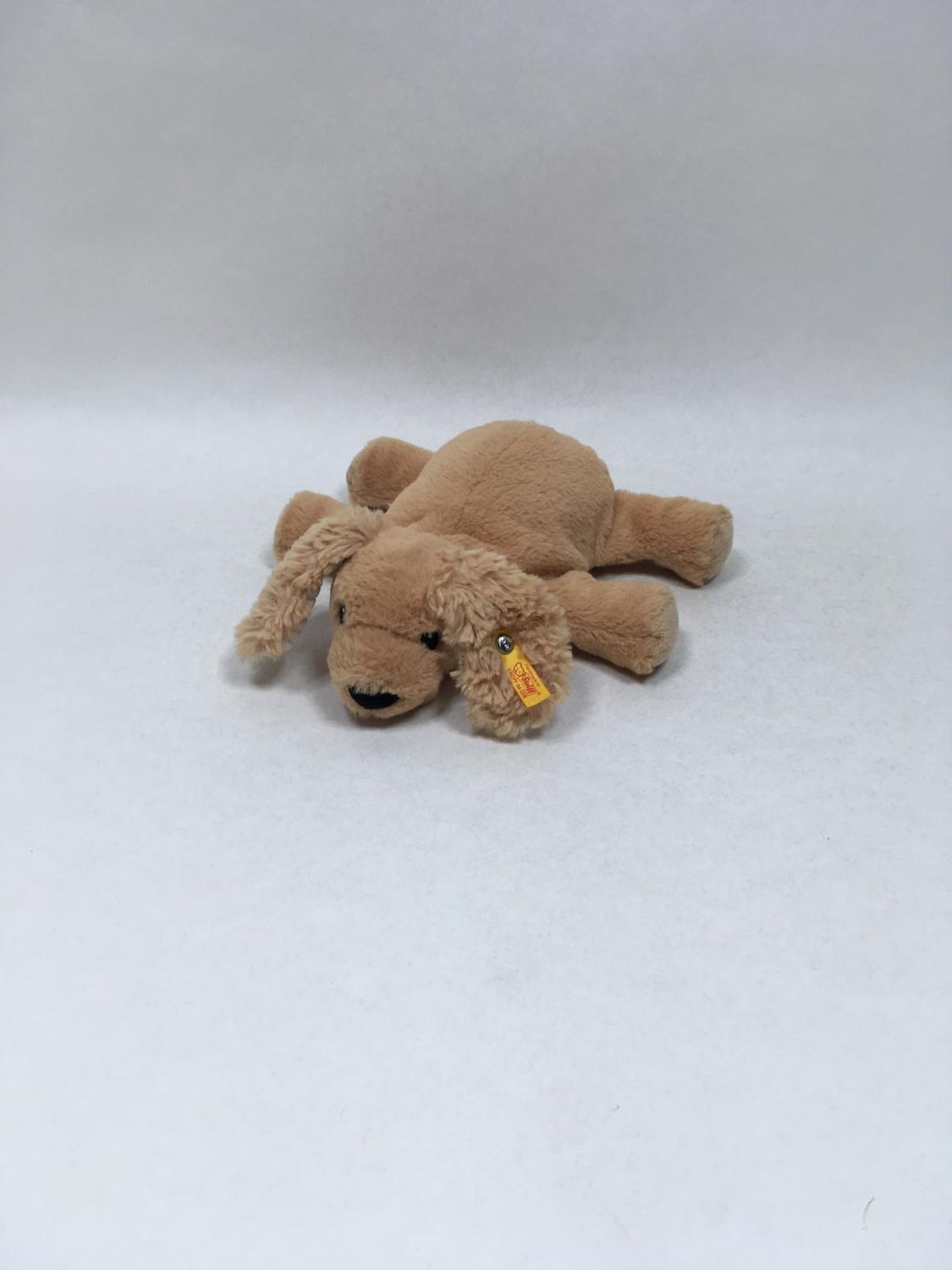 Steiff Hund Floppy Lumpi 242595 liegend 20 cm Mega Sammlerstück